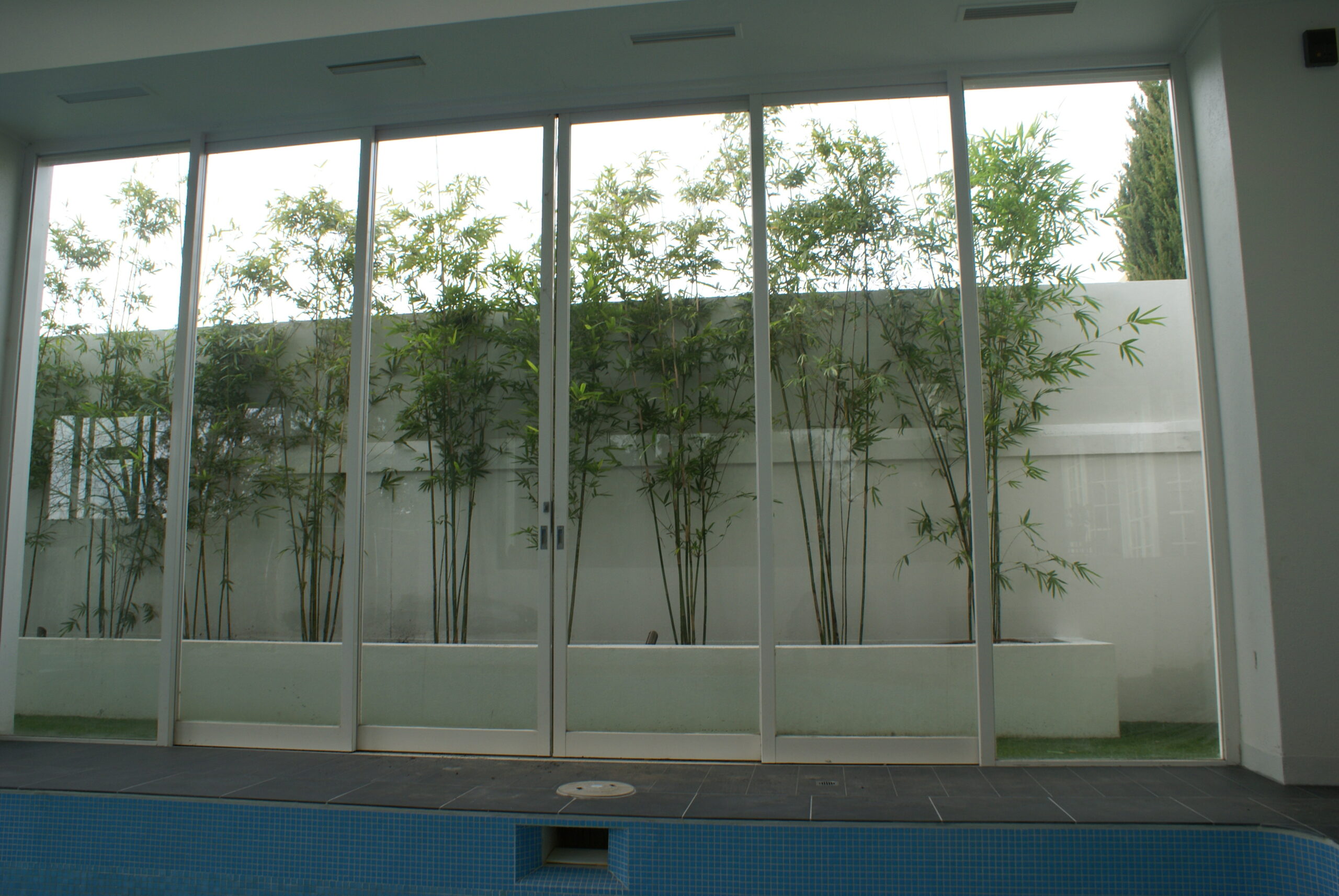 SONY DSC