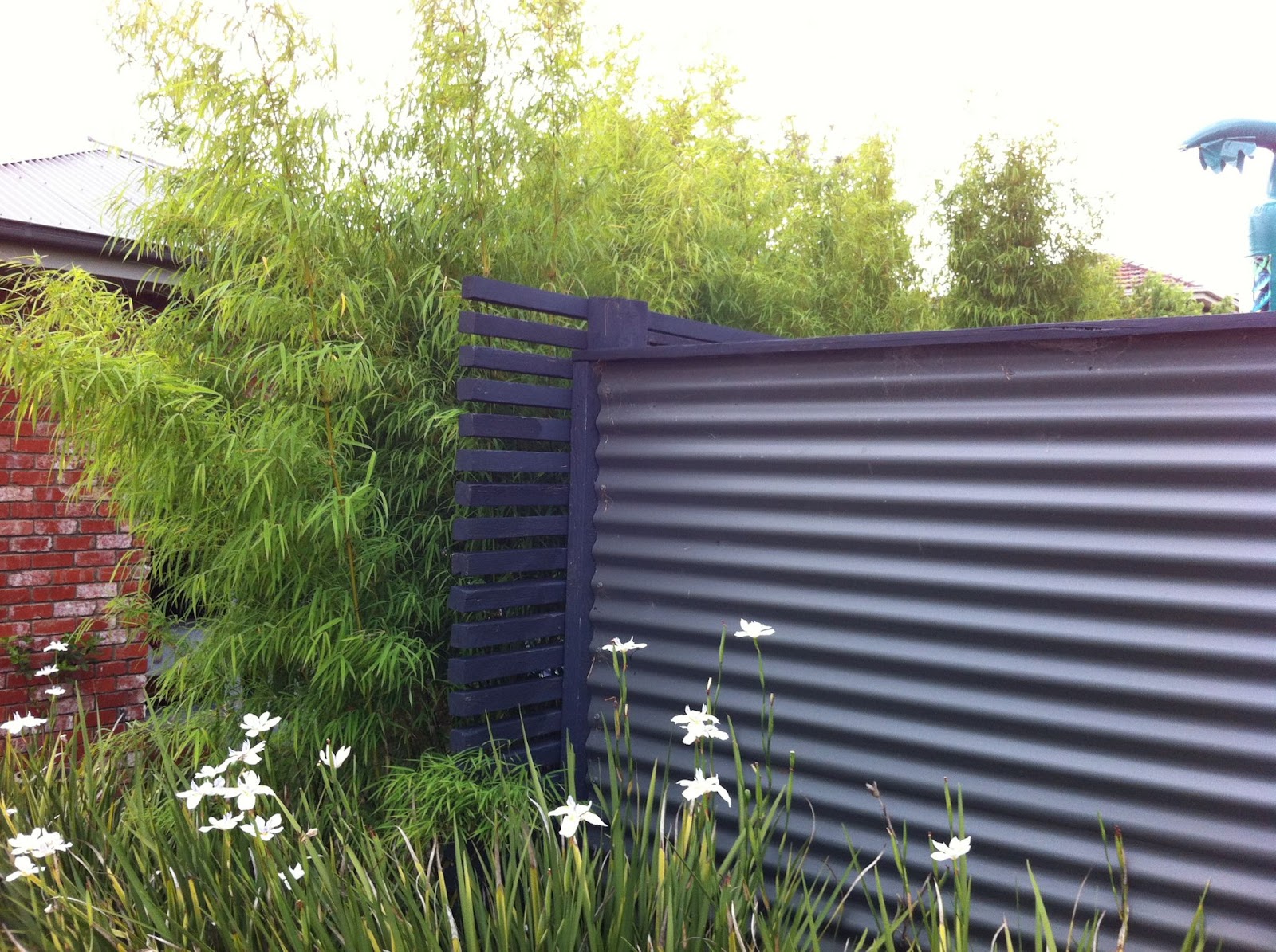 Nepalese Blue 4