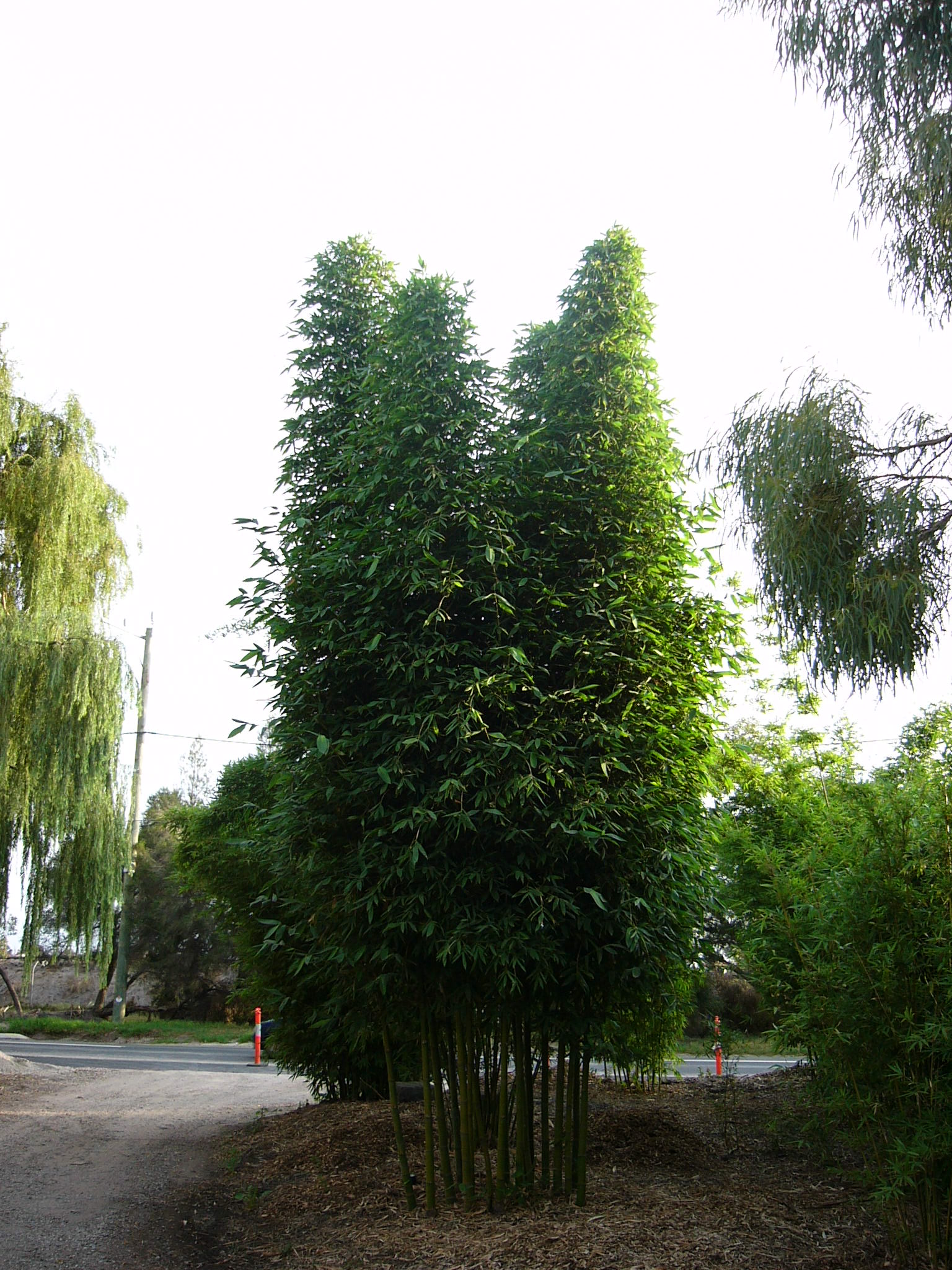 P1010648