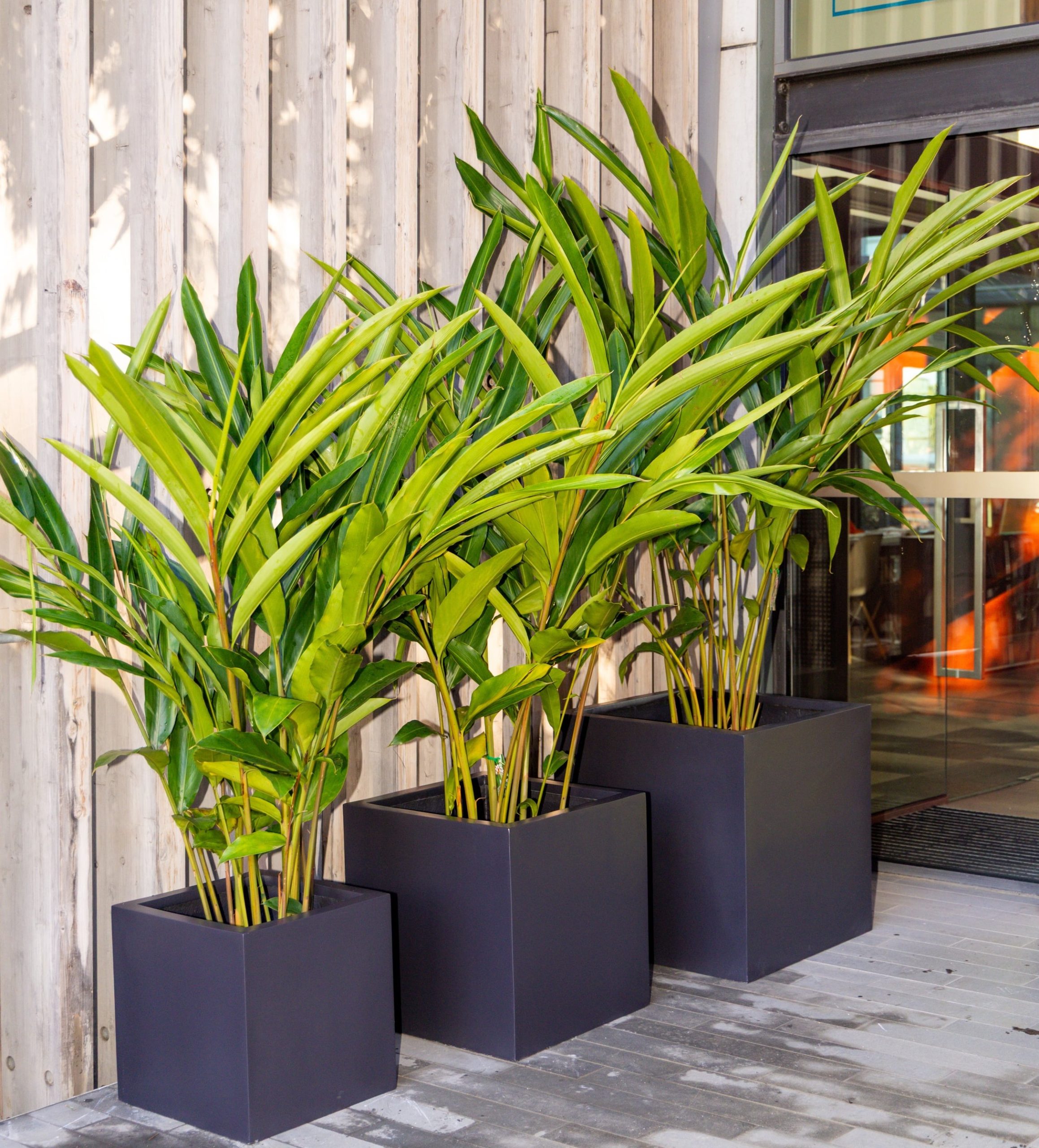 Polystone Lightweight Planter Boxes – Square - Image 5