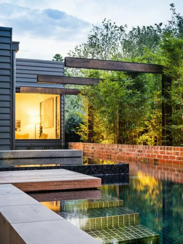 Bambusa multiplex 'Goldstripe' - Image 10