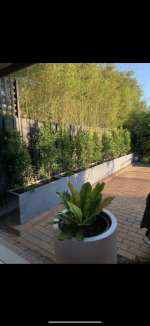 Polystone GRC/Fibreglass Lightweight Planter Boxes - Image 18