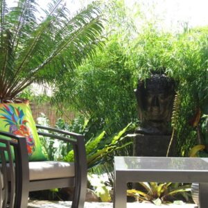 Himalayan Weeping (Drepanostachyum falcatum)