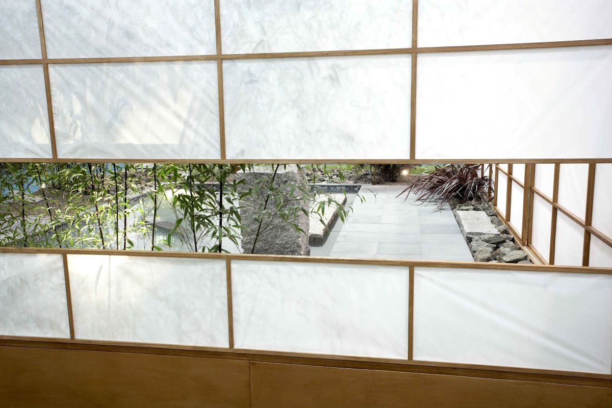 ‘Black Bamboo - Phyllostachys Nigra - Image 13