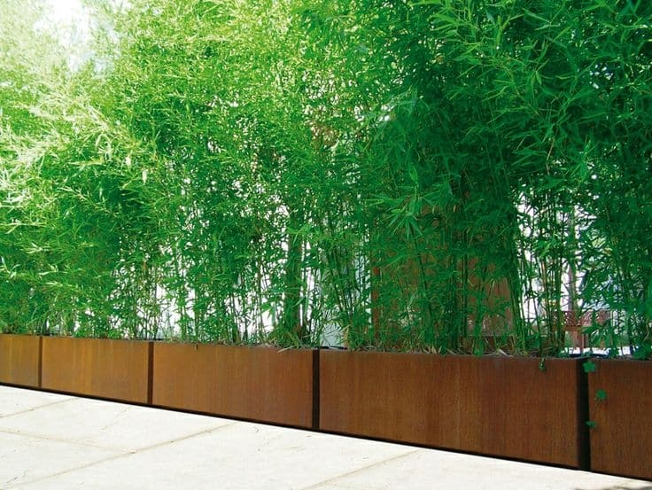 Corten Steel Planter Boxes - Custom - Image 7