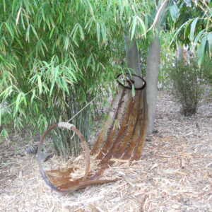 Himalayacalamus porcatus    Nepalese Blue