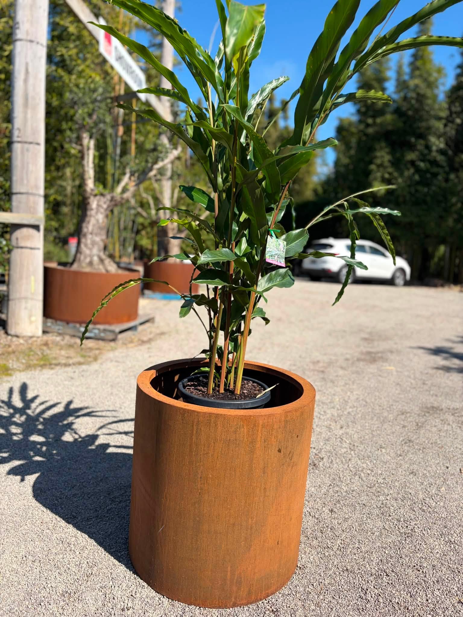 Corten Steel Cylinders - Image 2