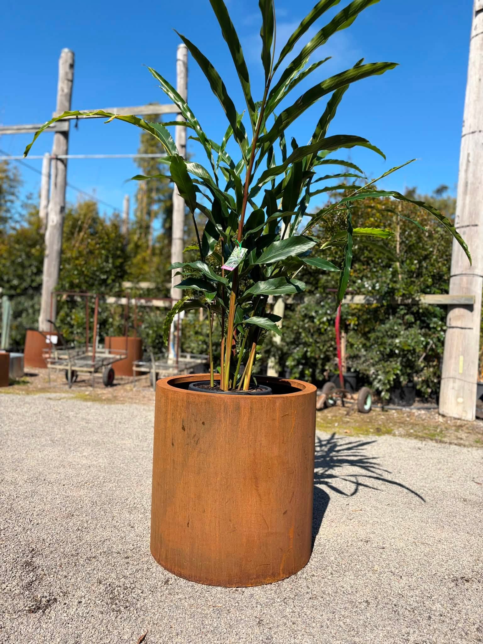 Corten Steel Cylinders - Image 3