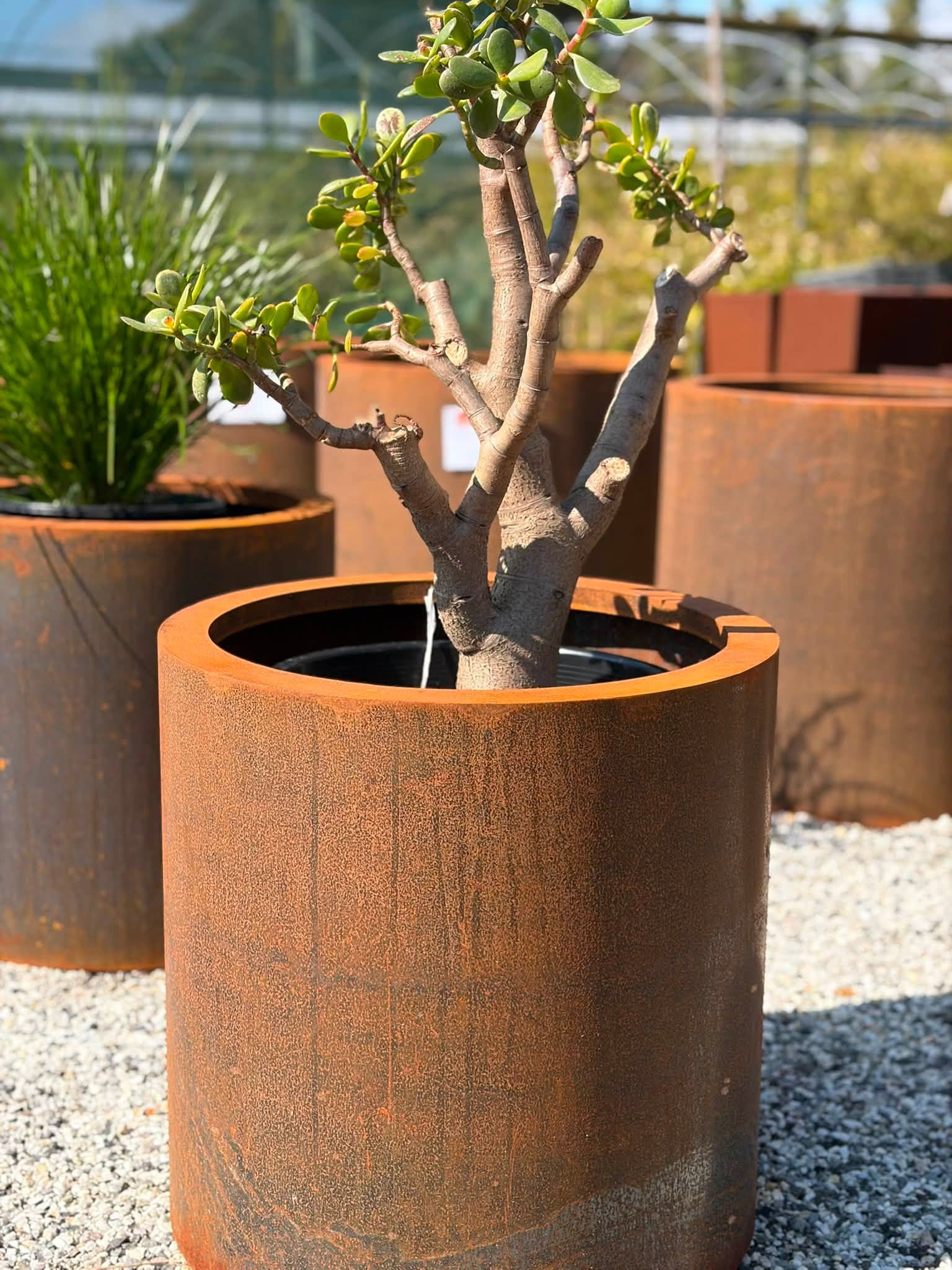 Corten Steel Cylinders - Image 6